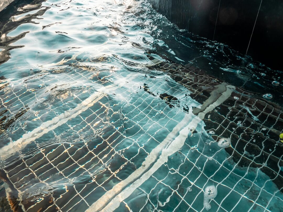 Florida Climate and Pool Health: Why Timing Matters Image